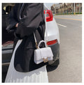 Croc Mini Square Bag
